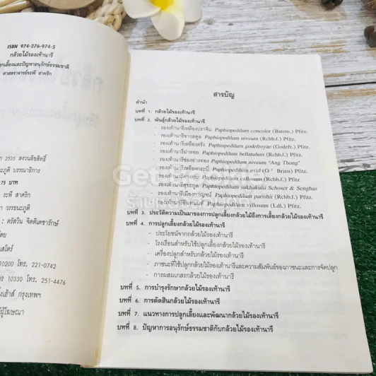กล้วยไม้รองเท้านารี วิธีปลูกเลี้ยงและปัญหาอนุรักษ์ธรรมชาติ รูปที่ 6
