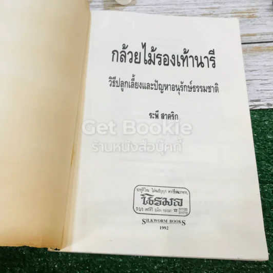 กล้วยไม้รองเท้านารี วิธีปลูกเลี้ยงและปัญหาอนุรักษ์ธรรมชาติ รูปที่ 4
