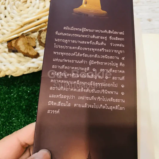 ธรรมยาตรารำลึก พุทธภูมิ รูปที่ 6