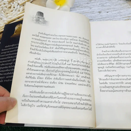 ธรรมยาตรารำลึก พุทธภูมิ รูปที่ 13