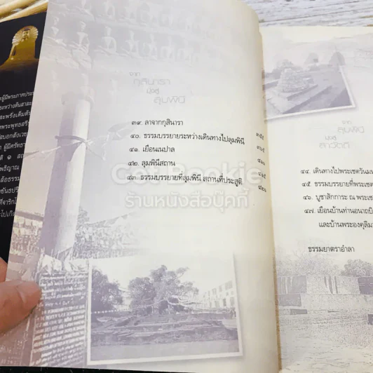 ธรรมยาตรารำลึก พุทธภูมิ รูปที่ 19