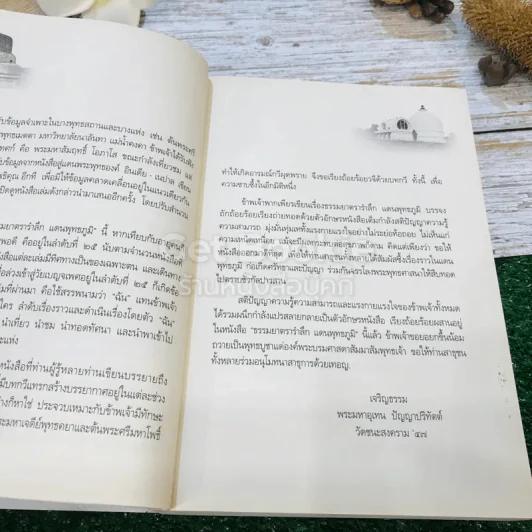 ธรรมยาตรารำลึก พุทธภูมิ รูปที่ 14