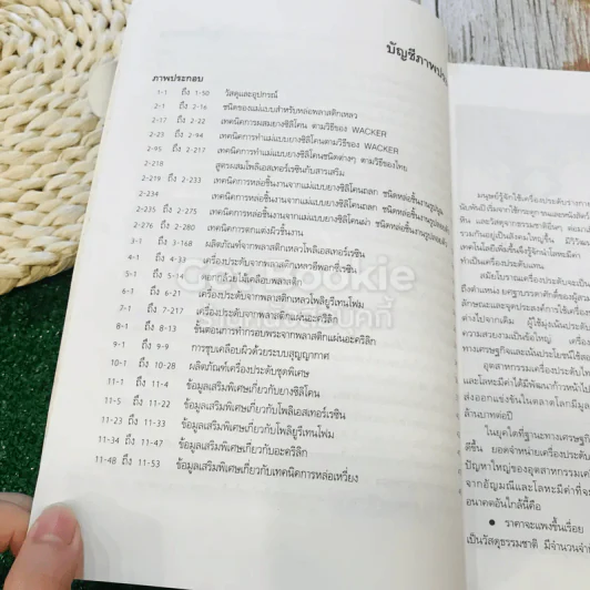 เครื่องประดับ รูปที่ 14