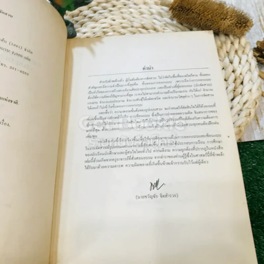 การออกแบบเขียนแบบจัดสวน รูปที่ 6