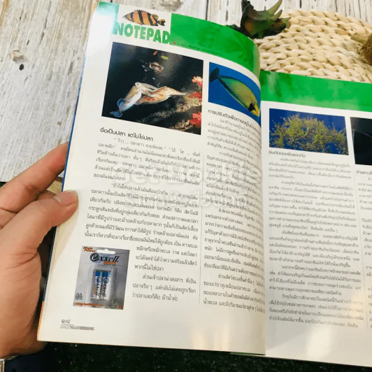 Advanced Thailand Geographic ฉบับที่ 67 รูปที่ 11