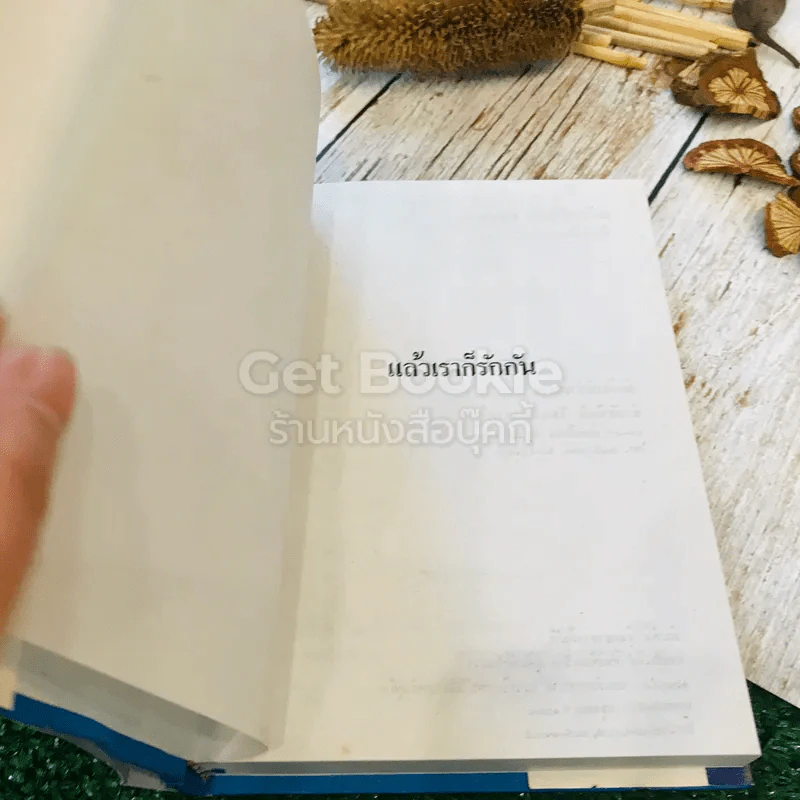 แล้วเราก็รักกัน - ทัศนีย์ สีทอง รูปที่ 4
