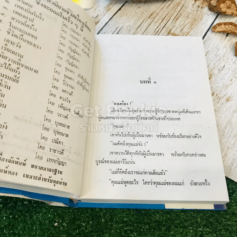 แล้วเราก็รักกัน - ทัศนีย์ สีทอง รูปที่ 6