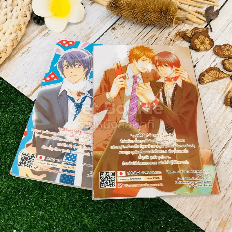 รักดั่งฝัน 2 เล่มจบ รูปที่ 11