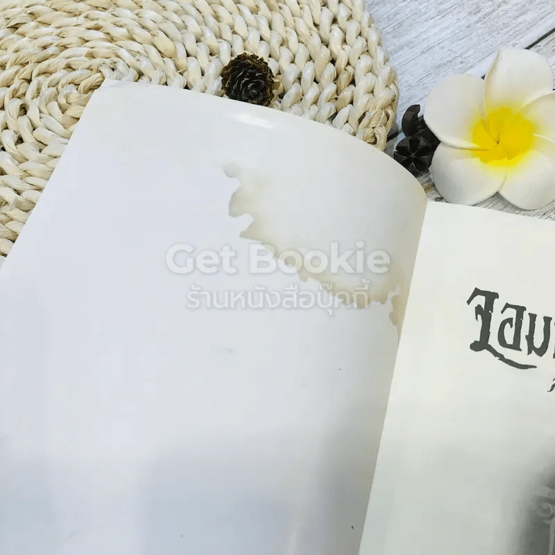 จอมเวทมนตร์ดำ สาวน้อยจอมเวท เล่ม 1 รูปที่ 4