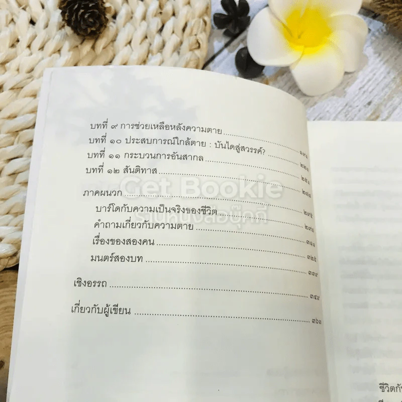 ประตูสู่สภาวะใหม่ จาก The Tibetan Book of Living And Dying รูปที่ 8