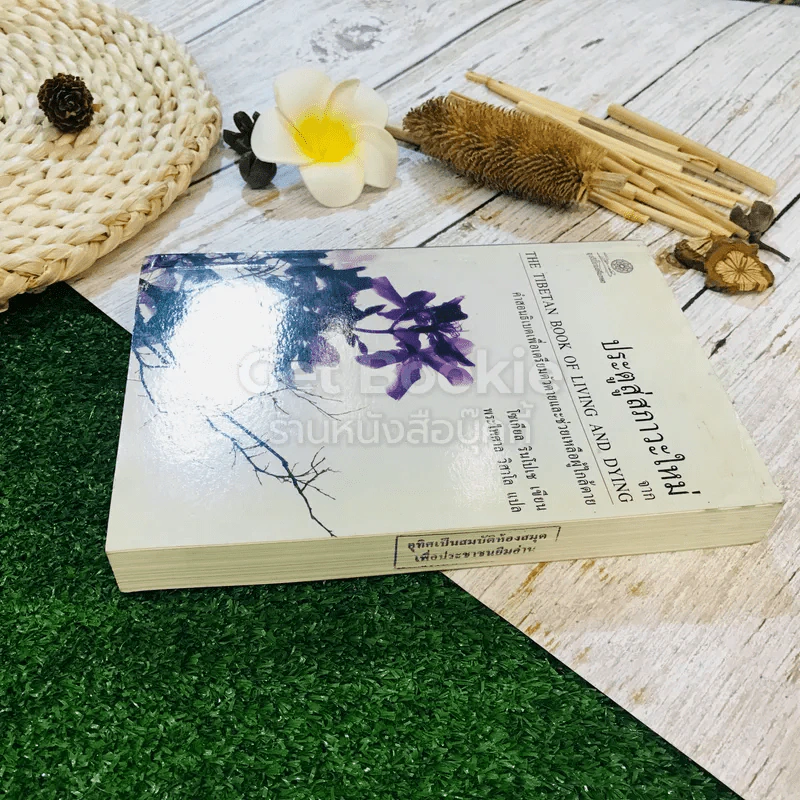ประตูสู่สภาวะใหม่ จาก The Tibetan Book of Living And Dying รูปที่ 3