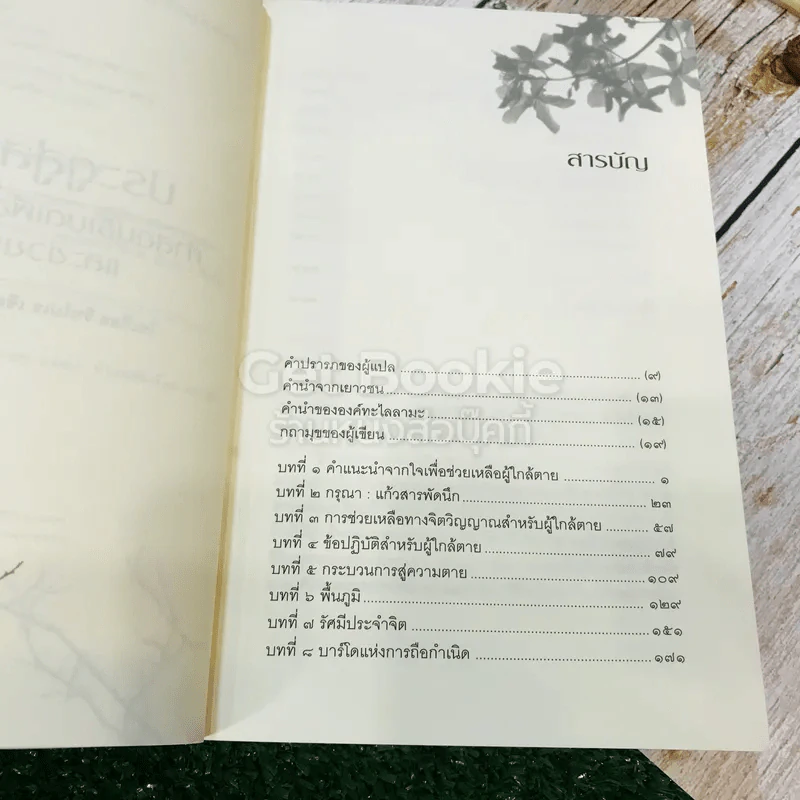 ประตูสู่สภาวะใหม่ จาก The Tibetan Book of Living And Dying รูปที่ 7