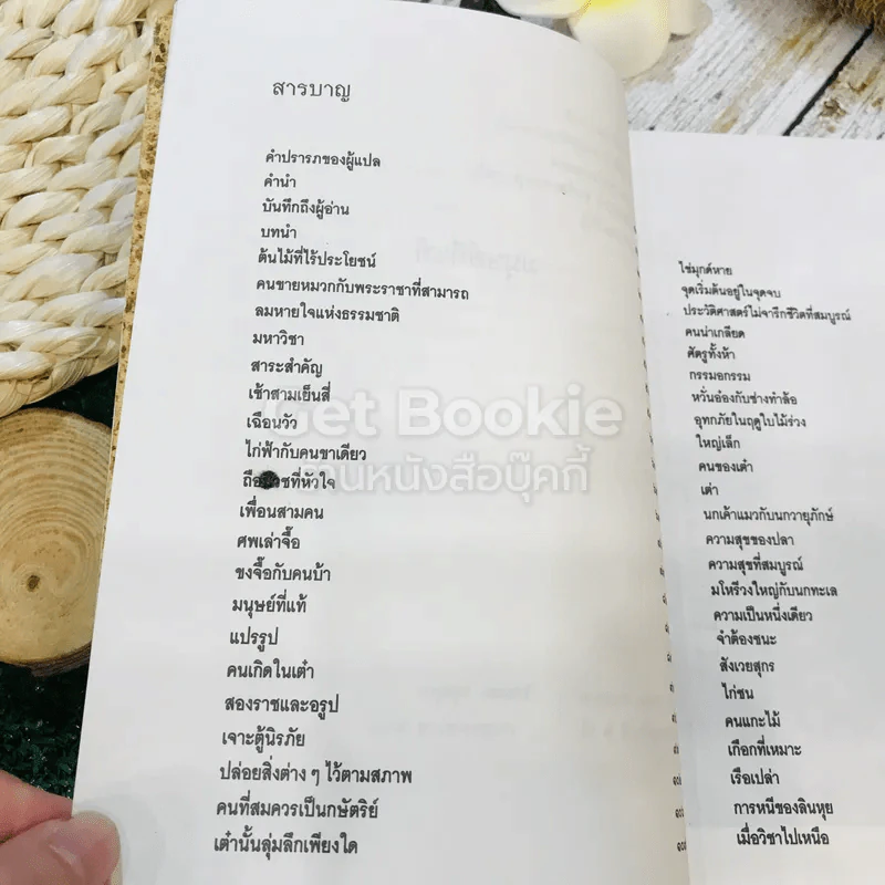 มนุษย์ที่แท้ รูปที่ 7