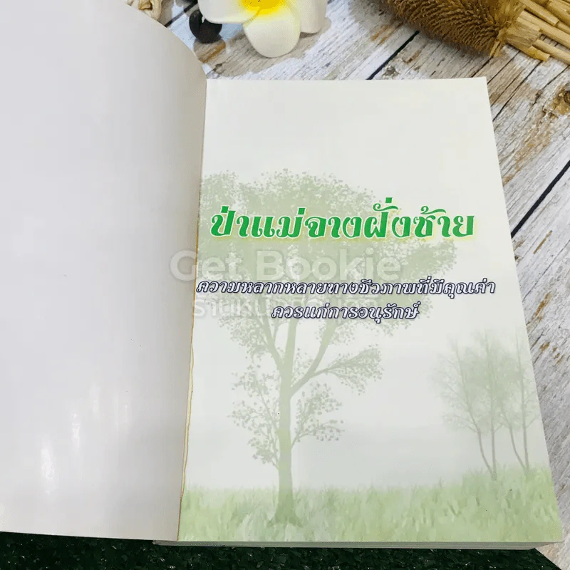 ป่าแม่จางฝั่งซ้าย ความหลากหลายทางชีวภาพที่มีคุณค่าควรแก่การอนุรักษ์ รูปที่ 4