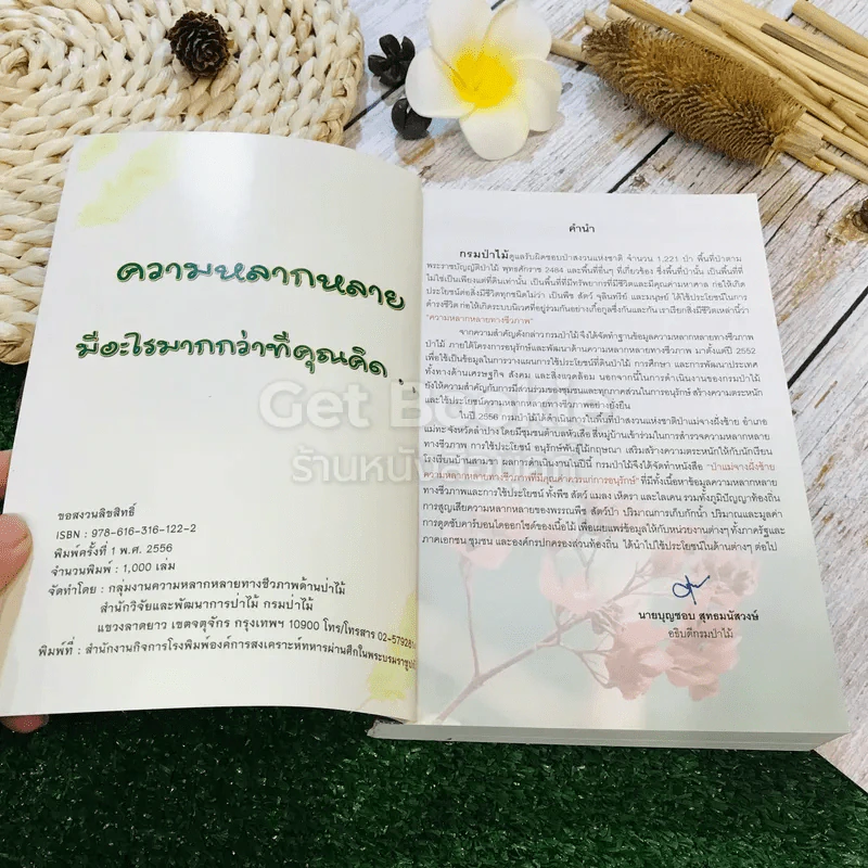 ป่าแม่จางฝั่งซ้าย ความหลากหลายทางชีวภาพที่มีคุณค่าควรแก่การอนุรักษ์ รูปที่ 5