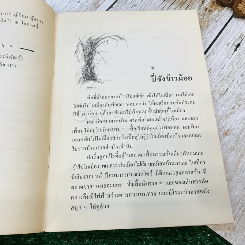 ปี่ซังข้าวน้อย หนังสือส่งเสริมการอ่าน ชุดพระพุทธศาสนาและจริยธรรม ระดับประถมศึกษา รูปที่ 9