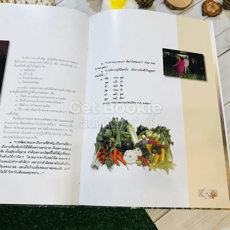 ประพาสต้นบนดอย รูปที่ 18
