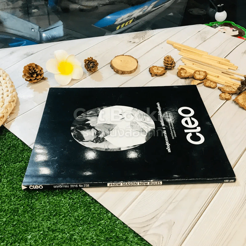 Cleo November 2016 รูปที่ 2