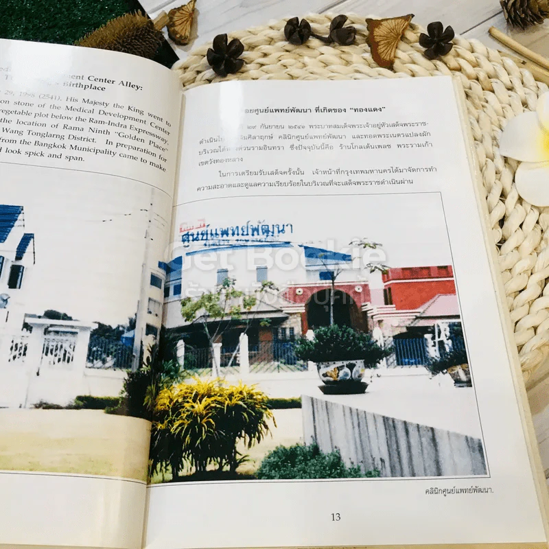 เรื่อง ทองแดง The Story of Tongdaeng (ปกแข็ง) รูปที่ 16