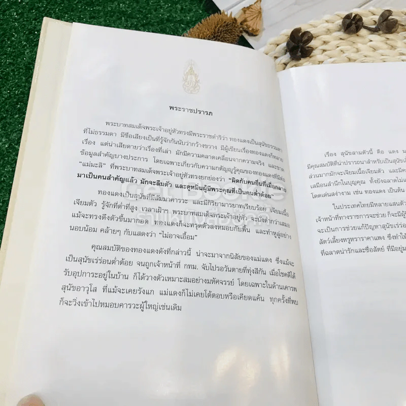 เรื่อง ทองแดง The Story of Tongdaeng (ปกแข็ง) รูปที่ 11