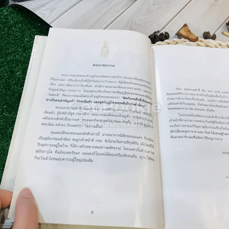 เรื่อง ทองแดง The Story of Tongdaeng (ปกแข็ง) รูปที่ 11