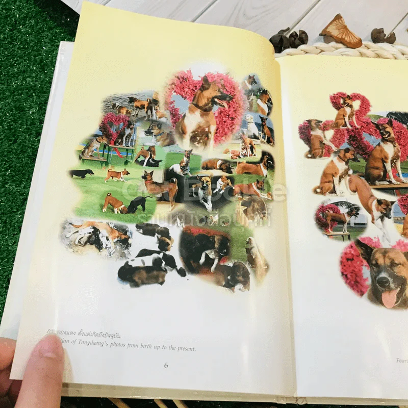 เรื่อง ทองแดง The Story of Tongdaeng (ปกแข็ง) รูปที่ 9