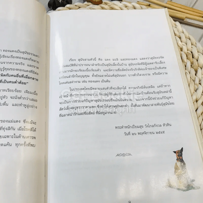 เรื่อง ทองแดง The Story of Tongdaeng (ปกแข็ง) รูปที่ 12
