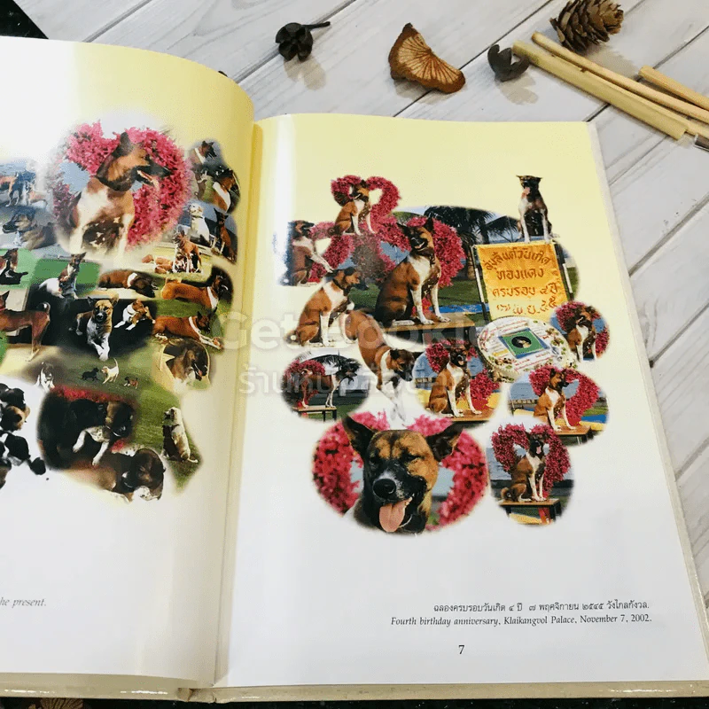 เรื่อง ทองแดง The Story of Tongdaeng (ปกแข็ง) รูปที่ 10