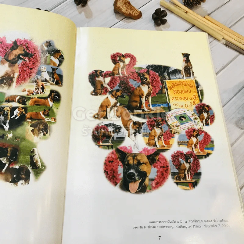 เรื่อง ทองแดง The Story of Tongdaeng (ปกแข็ง) รูปที่ 10