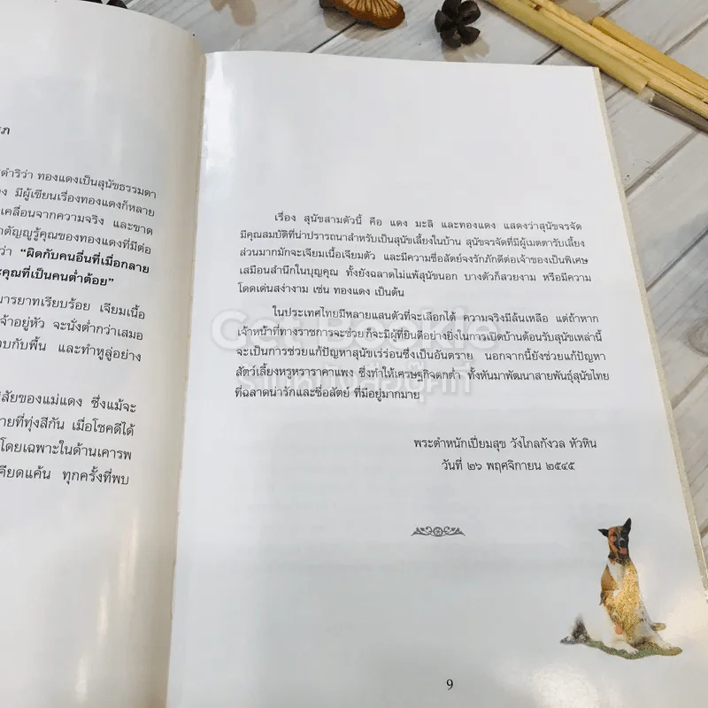 เรื่อง ทองแดง The Story of Tongdaeng (ปกแข็ง) รูปที่ 12