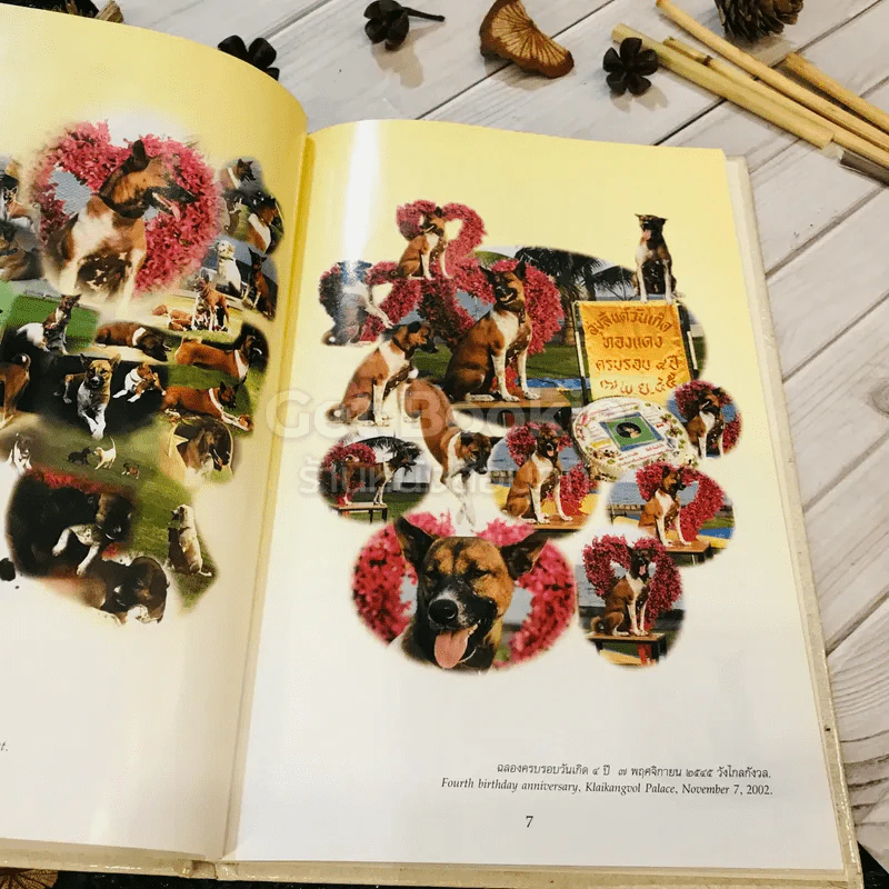 เรื่อง ทองแดง The Story of Tongdaeng (ปกแข็ง) รูปที่ 10
