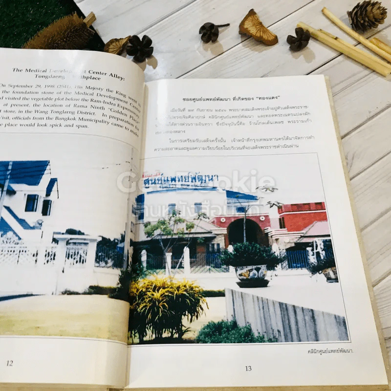 เรื่อง ทองแดง The Story of Tongdaeng (ปกแข็ง) รูปที่ 16