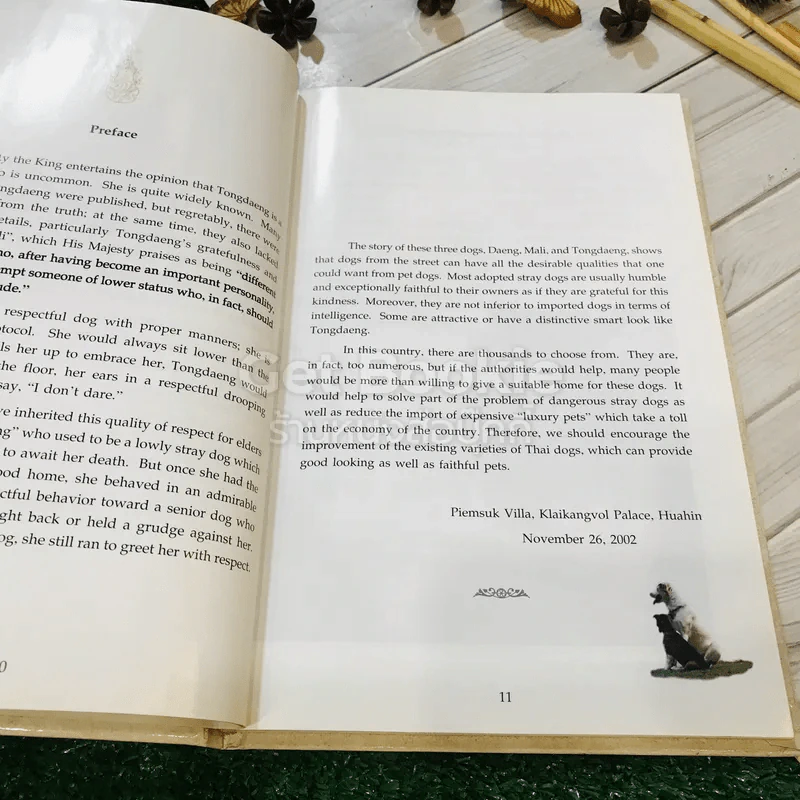 เรื่อง ทองแดง The Story of Tongdaeng (ปกแข็ง) รูปที่ 14