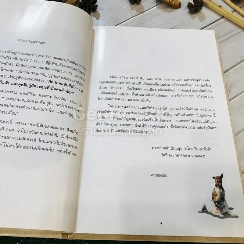 เรื่อง ทองแดง The Story of Tongdaeng (ปกแข็ง) รูปที่ 12