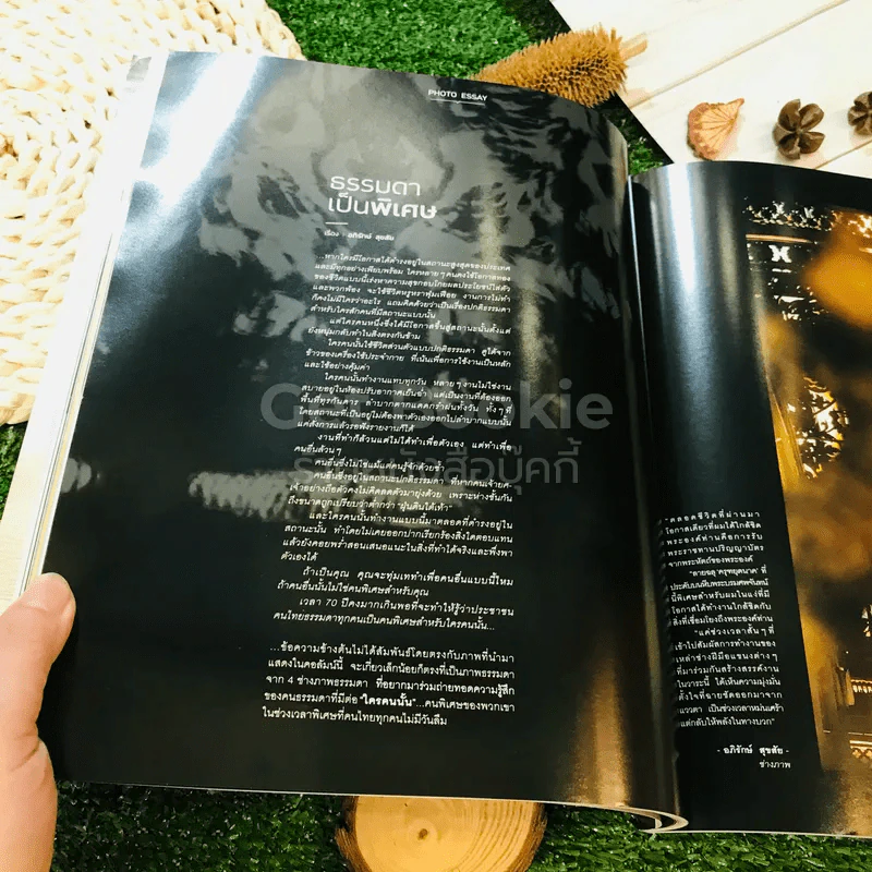Room October 2017 Number 176 รูปที่ 34