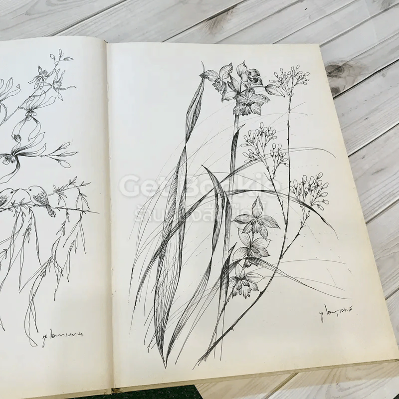 แบบและลวดลายสำหรับระบายสี นูเฮาส์ เล่ม 1-2 ปี 2524 รูปที่ 17