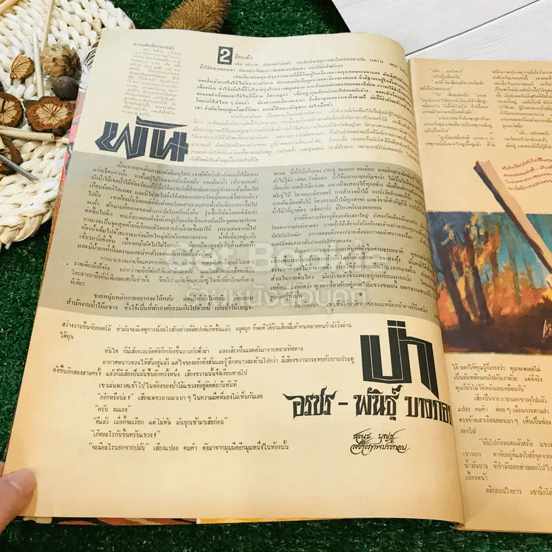รุ้งทอง ปีที่ 1 ฉบับที่ 2 ประจำวันอาทิตย์ที่ 26 ก.ย.2514 รูปที่ 11