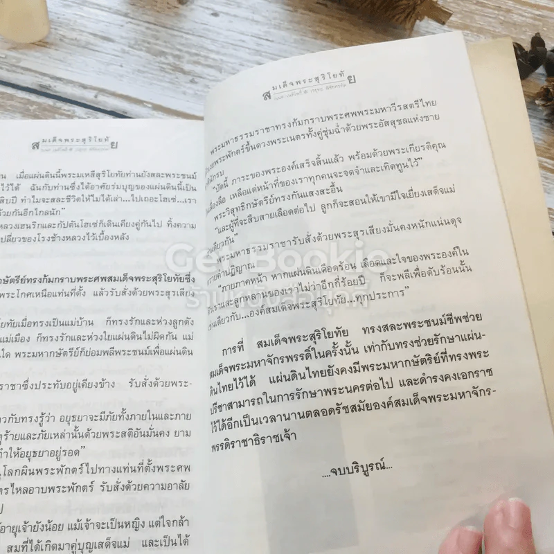 สมเด็จพระสุริโยทัย 2 เล่มจบ รูปที่ 16