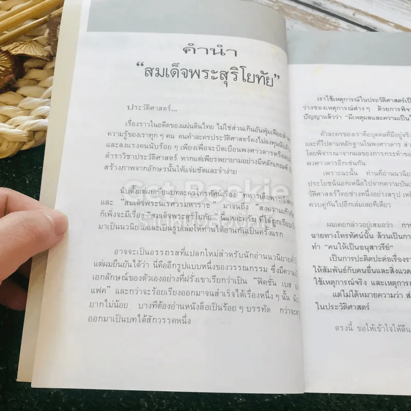 สมเด็จพระสุริโยทัย 2 เล่มจบ รูปที่ 7