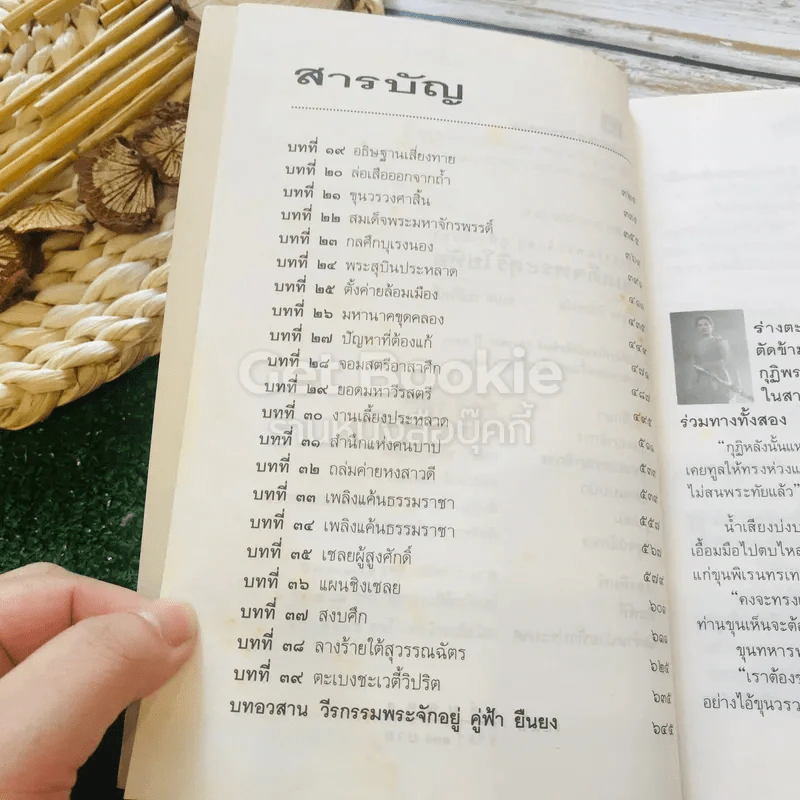 สมเด็จพระสุริโยทัย 2 เล่มจบ รูปที่ 14