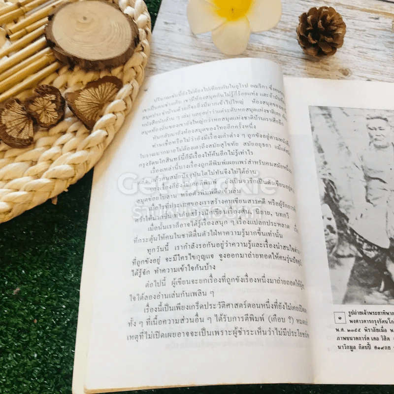 เรื่องประหลาดเมืองไทย รูปที่ 9