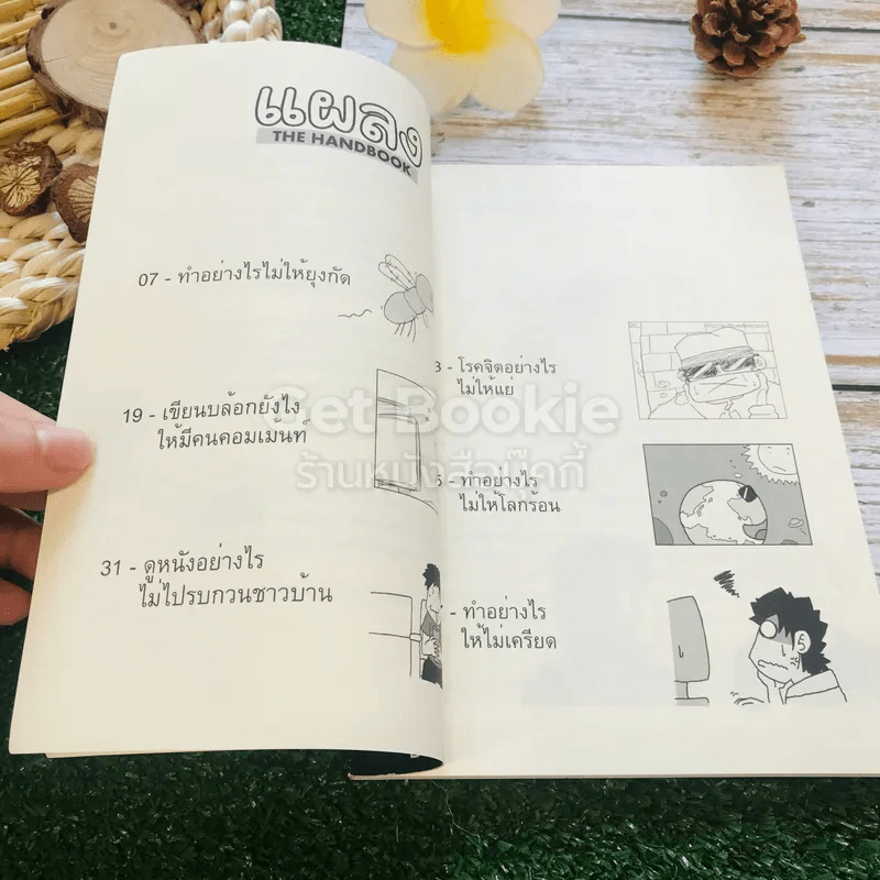 แผลง The Handbook รูปที่ 6