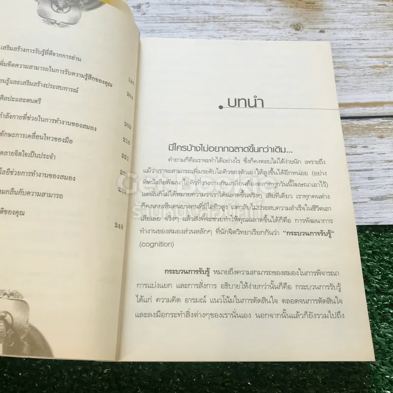 พัฒนาสมองให้เป็นอัจฉริยะแบบโมสาร์ท รูปที่ 12