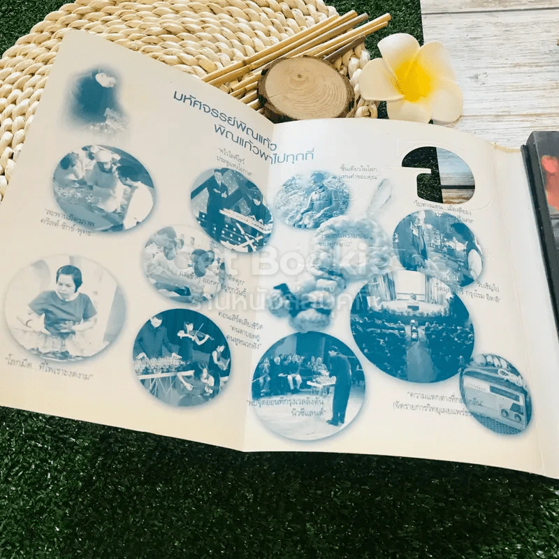 พิณแก้ว พลิกชีวิตใหม่ รูปที่ 5