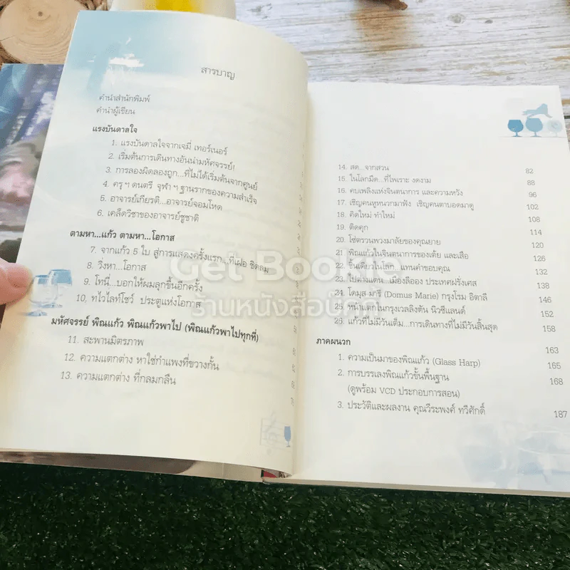 พิณแก้ว พลิกชีวิตใหม่ รูปที่ 12