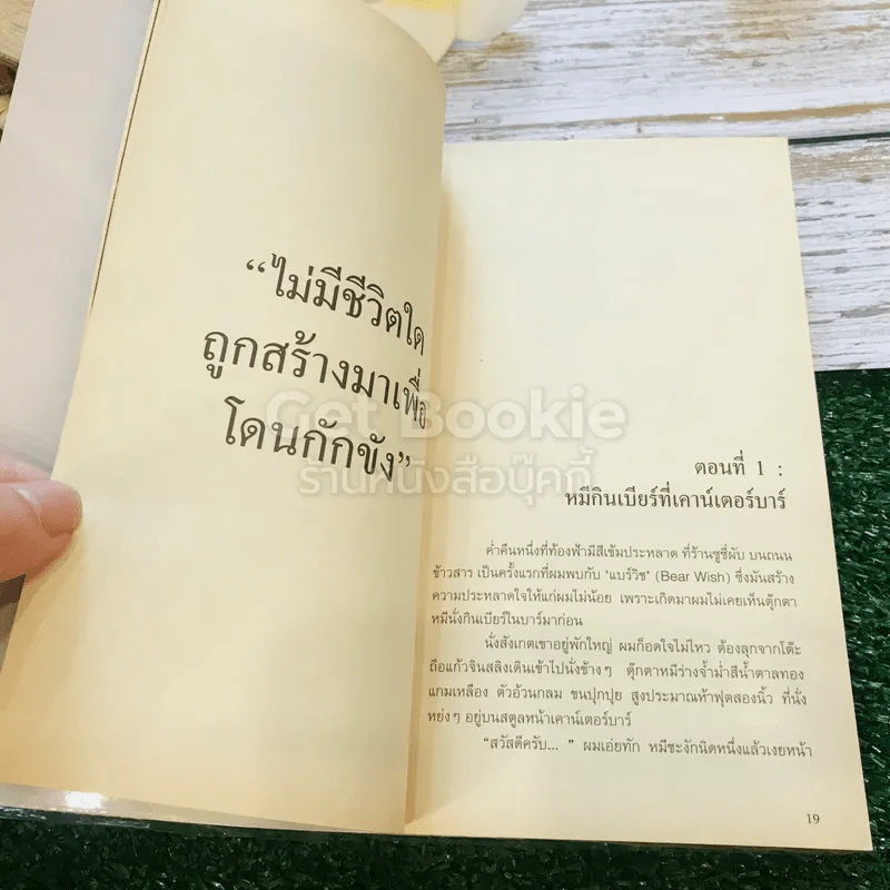 The Bear Wish Project รูปที่ 10