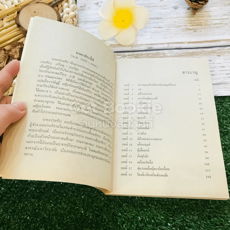 กามนิต (ภาคพื้นดิน) รูปที่ 9