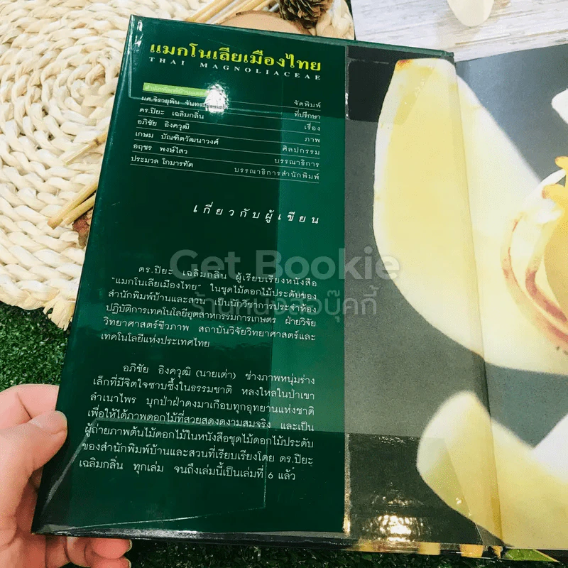 แมกโนเลียเมืองไทย Thai Magnoliaceae รูปที่ 4
