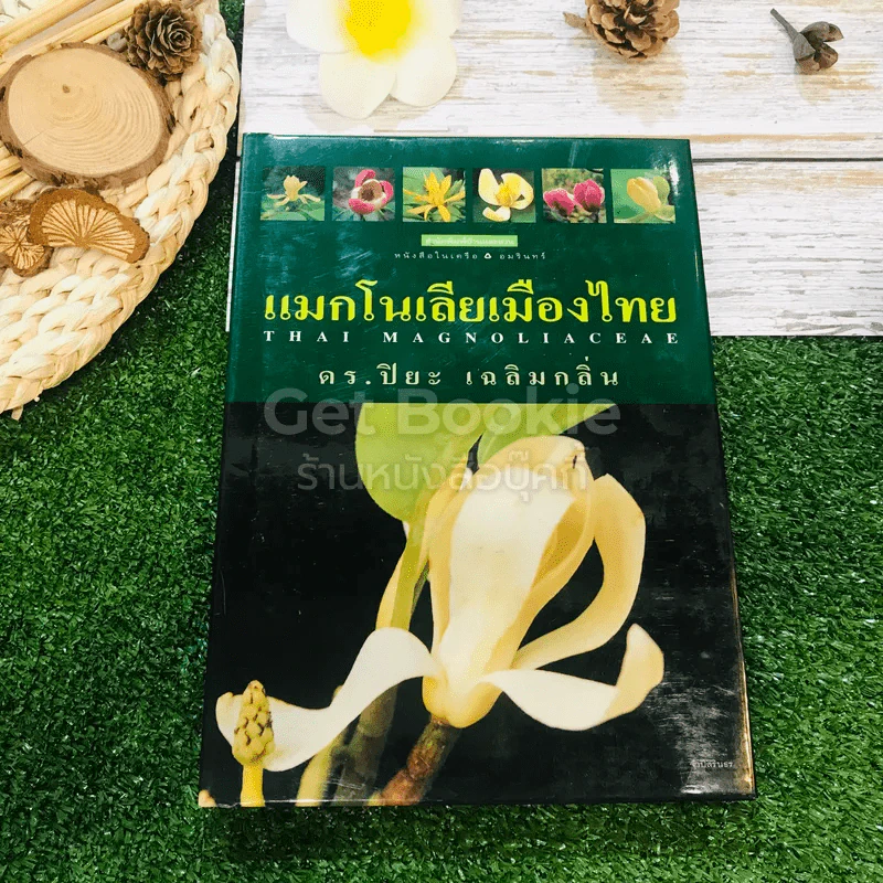 แมกโนเลียเมืองไทย Thai Magnoliaceae รูปที่ 1