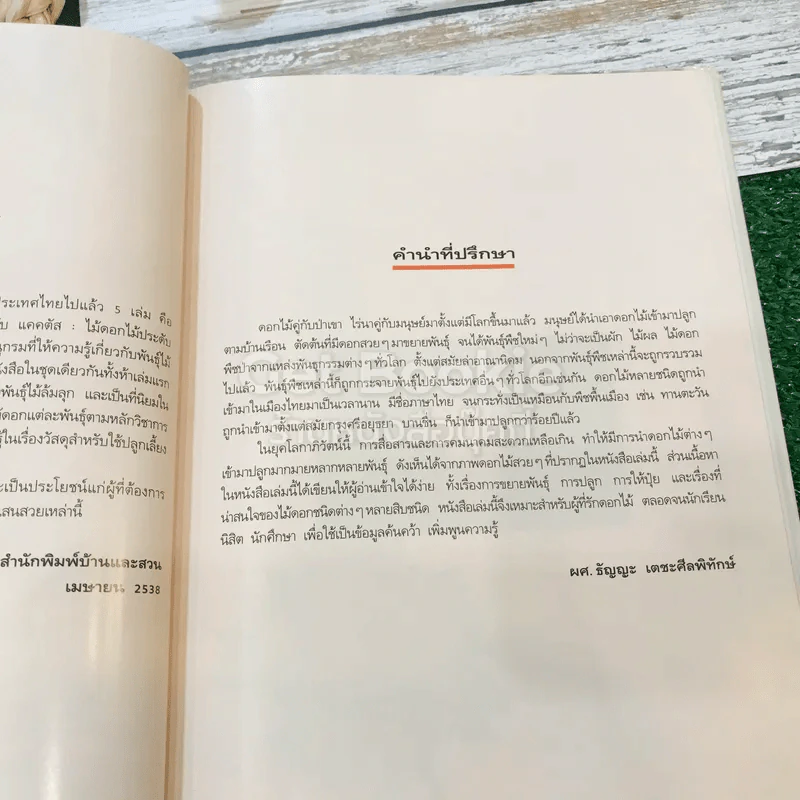 ไม้ดอกแสนสวย ไม้ดอกไม้ประดับ รูปที่ 9